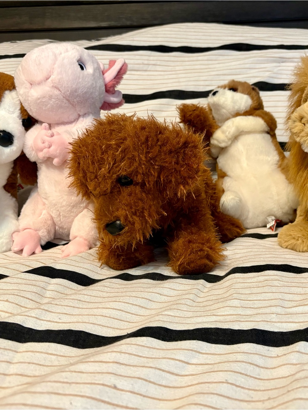 Douglas Cuddle Toy plush Lot of 6.. Like new